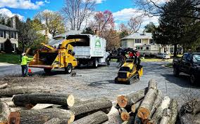 Lawn Maintenance Plans in Stockton, IL
